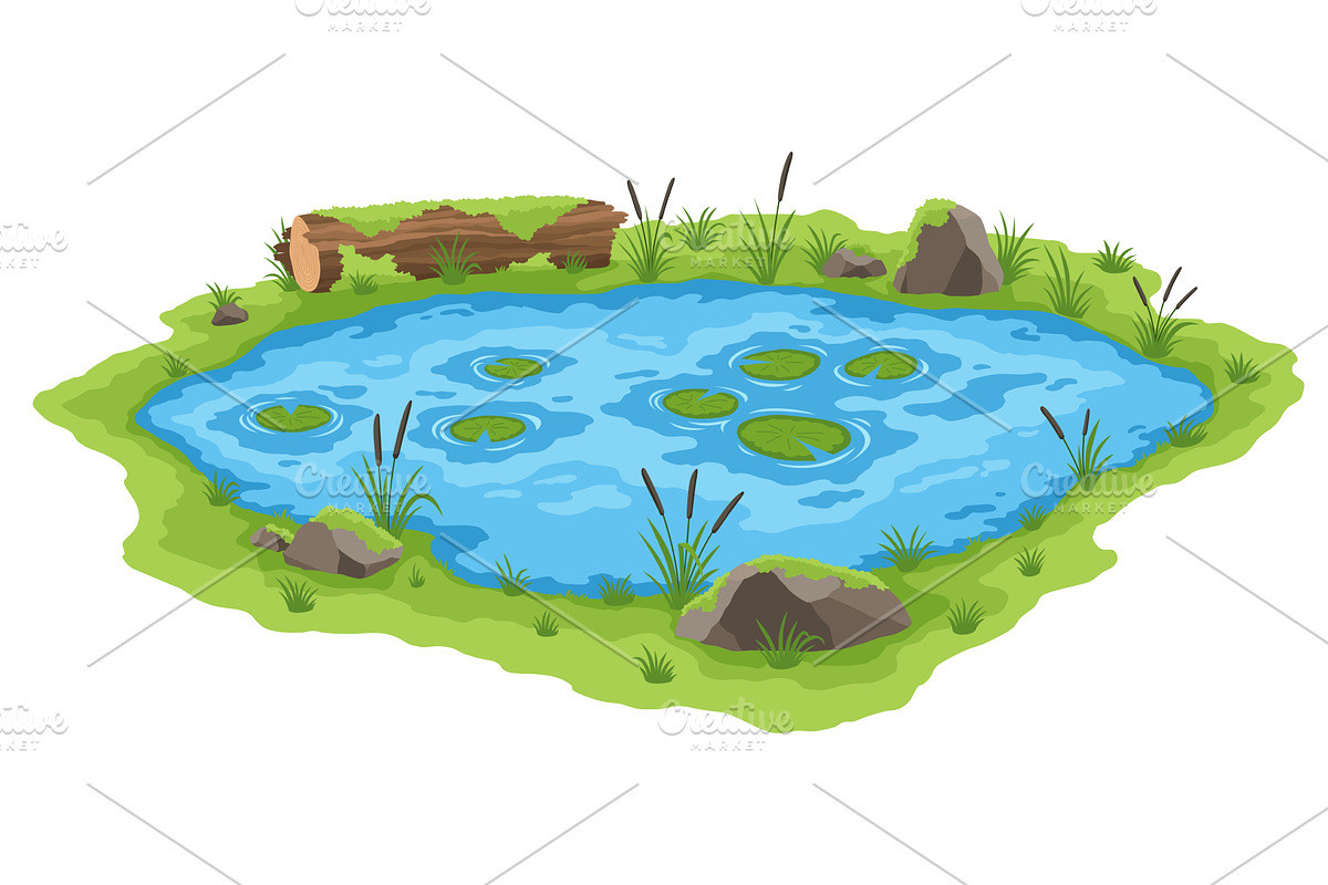 Picturesque natural pond. Blue water, an Animal Illustration by the8monkey
