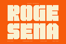Roge Sena - Bold Sans Font