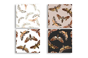 Night Moth. Watercolor Patterns, a Pattern Graphic by NKTKNS (Thumbnail 2 of 7)