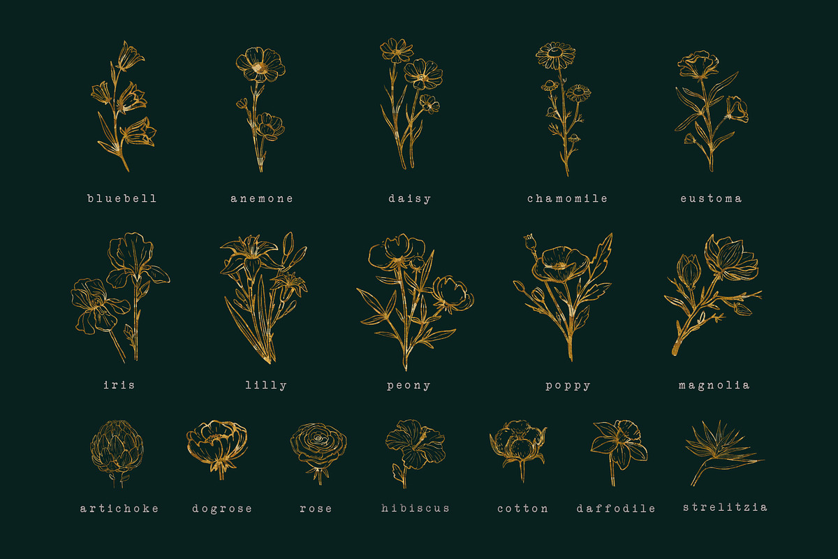 Floral clipart and monograms, vector, an Illustration by harmonia_green_art (Photo 6 of 16)
