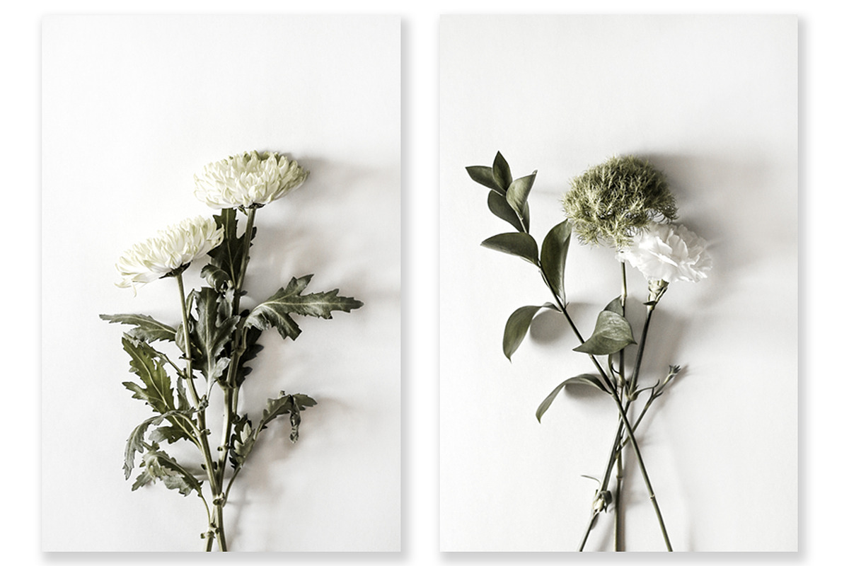 Floral Photography Bundle, a Nature Photo by Creative Moxie Studio (Photo 2 of 7)