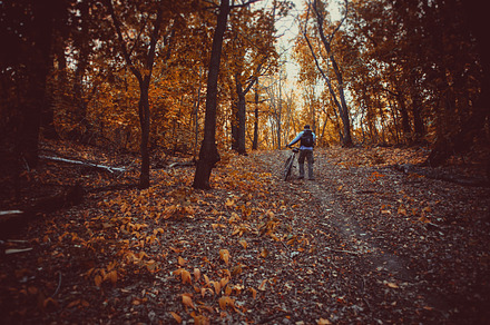 Man with bike in autumn forest featuring forest, activity, and autumn, a Person Photo by ruslan117
