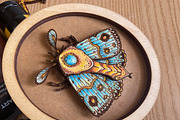 Wall decor Moth in frame laser cut, an Object Illustration by Bubert Art (Thumbnail 3 of 5)
