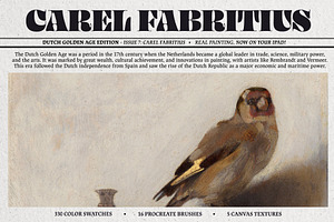 Carel Fabritius Procreate Kit