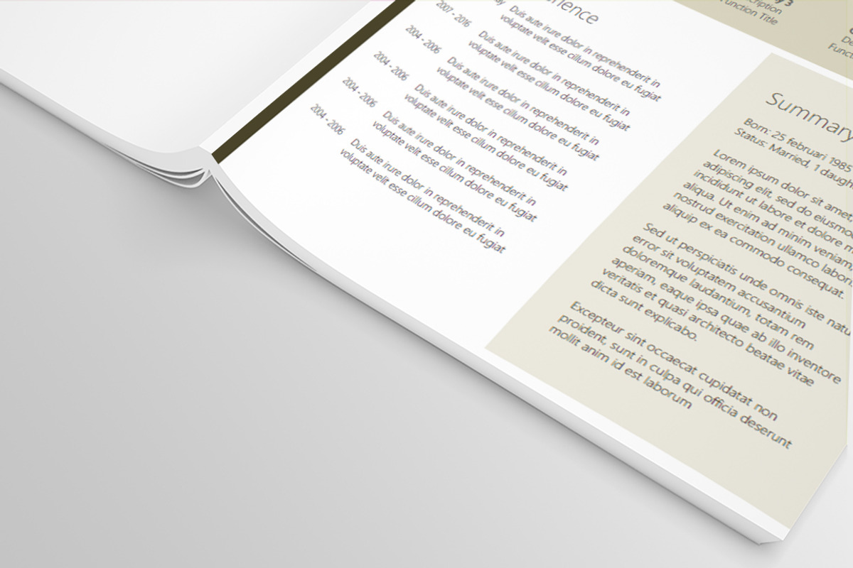 4 Unique modern resumes (CV's), a Resume Template by DutchDigitalDesign (Photo 6 of 7)