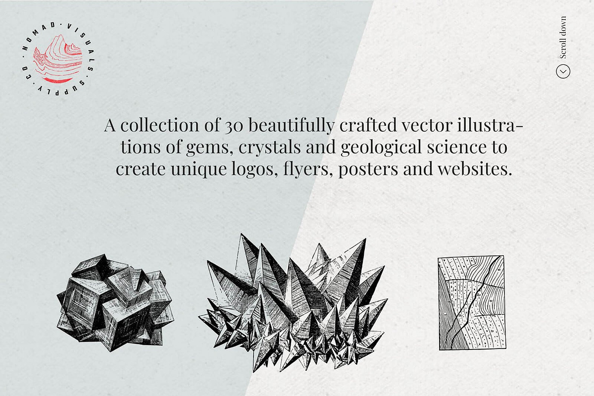 Vintage Bundle - 6600+ Illustrations, an Animal Illustration by Nomad Visuals (Photo 39 of 45)