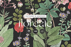 Botanical Floral English Pattern