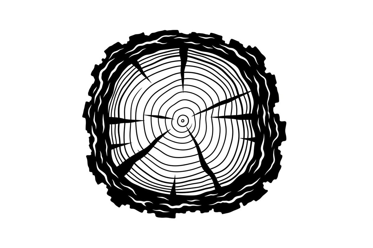 Rustic Wood Slice Frame Bundle, an Illustration by yasushie (Photo 4 of 31)