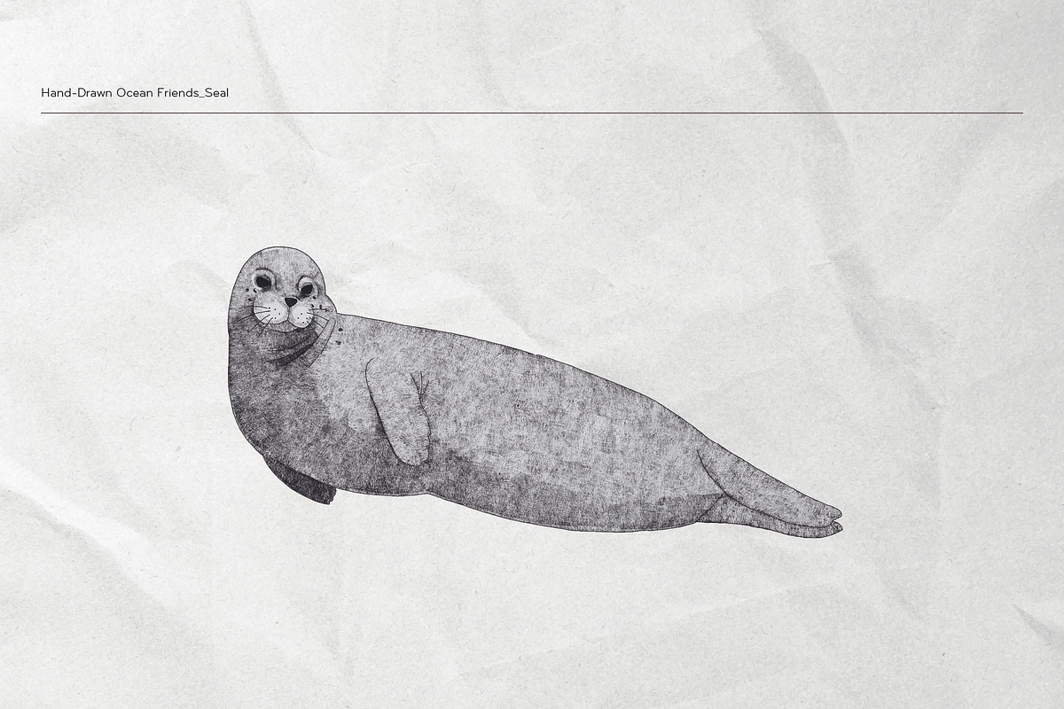 The Seagulls and  Their Sea Friends, an Animal Illustration by Kurakoza (Photo 6 of 18)