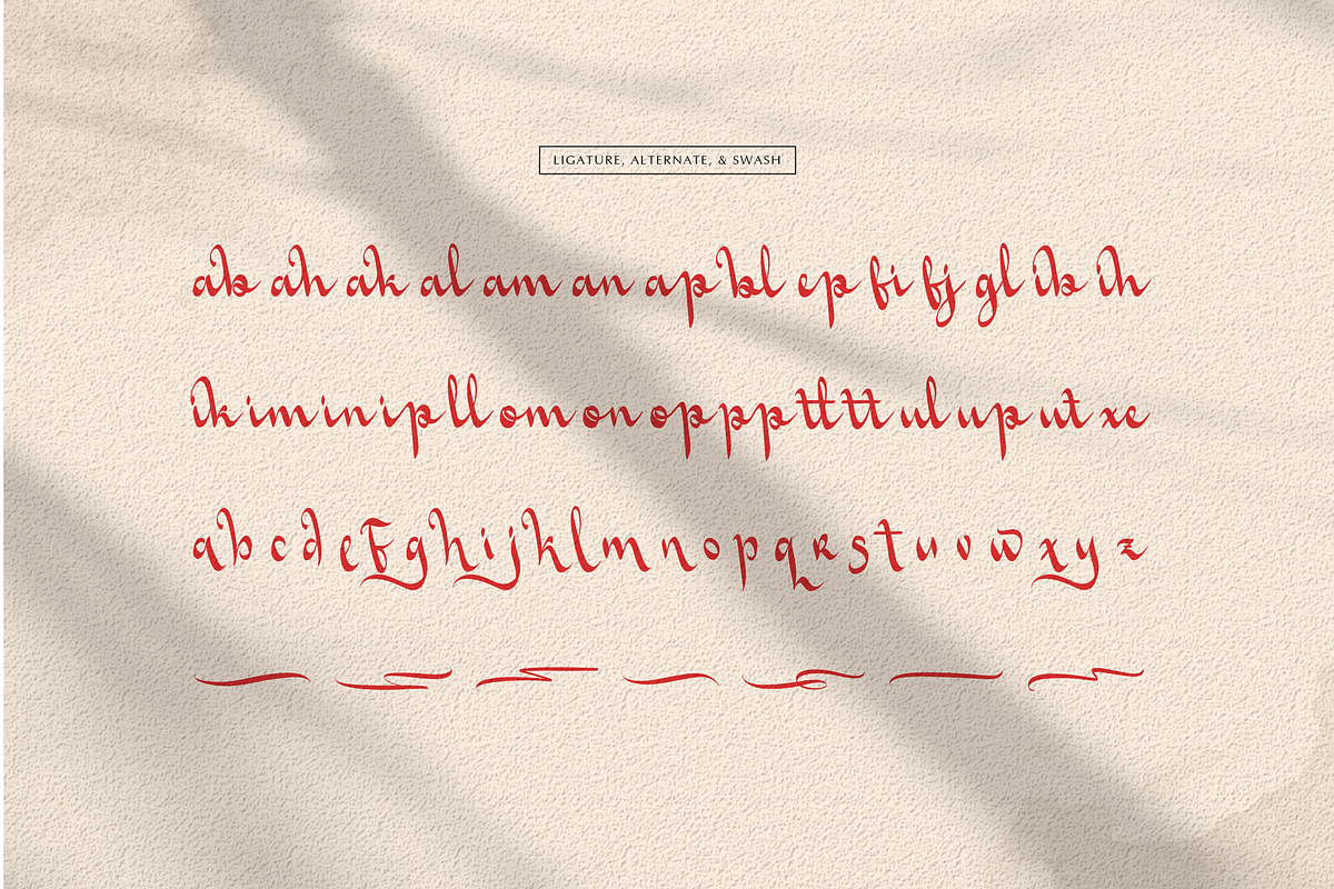 Le Undines | Signature Font, a Script Font by gracetype_studio (Photo 11 of 12)