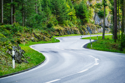 A road in the middle of a forest, a Transportation Photo by Landscape and travel
