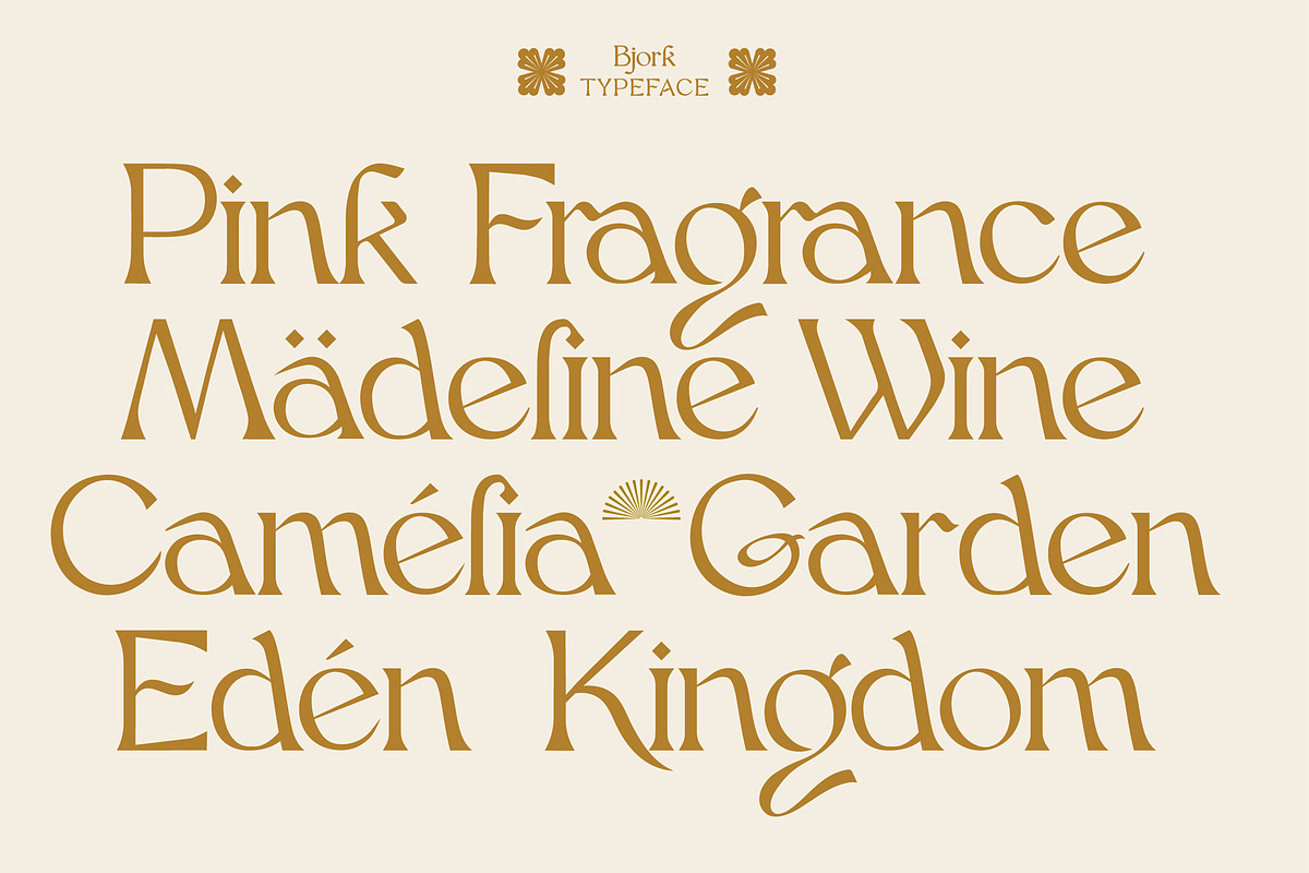 Bjork Serif, a Serif Font by CCS-Type.com (Photo 6 of 30)