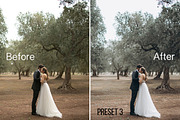 TOP20 WEDDING Lightroom Presets 2017, an Action Add-On by PRESETS & PICS BY MELNYK (Thumbnail 5 of 10)