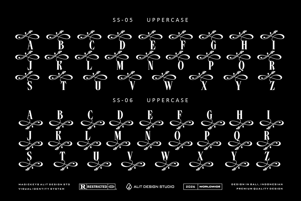 Dream Musical Typeface, a Serif Font by alit design (Photo 7 of 20)