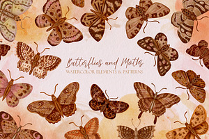 Watercolor Butterflies and Moths
