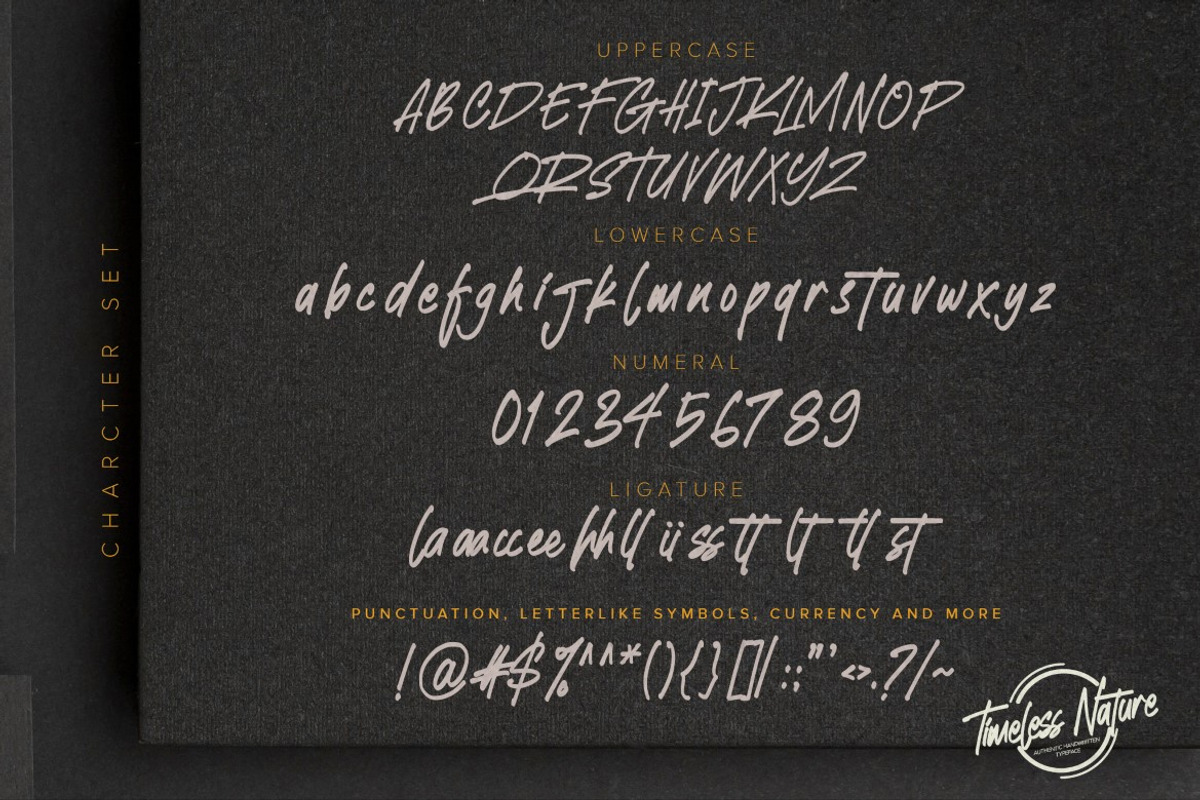 Timeless Nature-Handwritten Font, a Script Font by Gassstype (Photo 8 of 8)