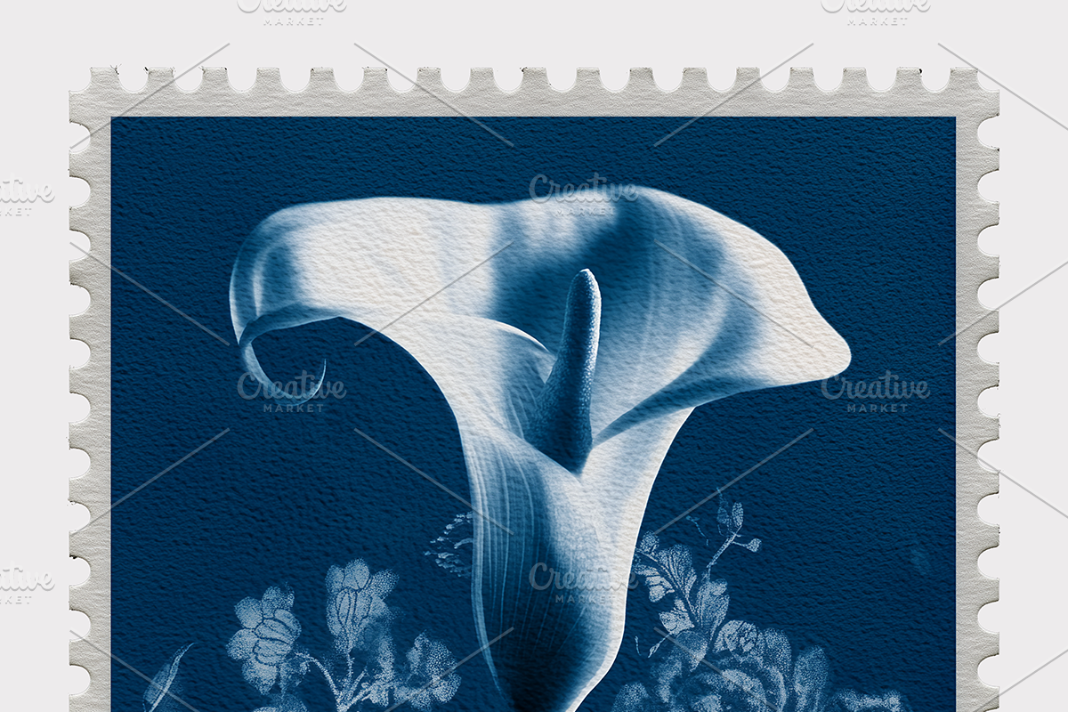 Lupa Co · Cyanotype Botanical Stamps, a Texture Illustration by milatovar (Photo 7 of 18)