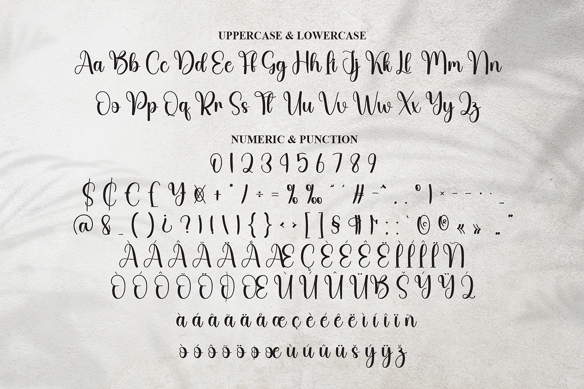 Another | Script Font, a Handwritten Font by Scratchones (Photo 7 of 9)