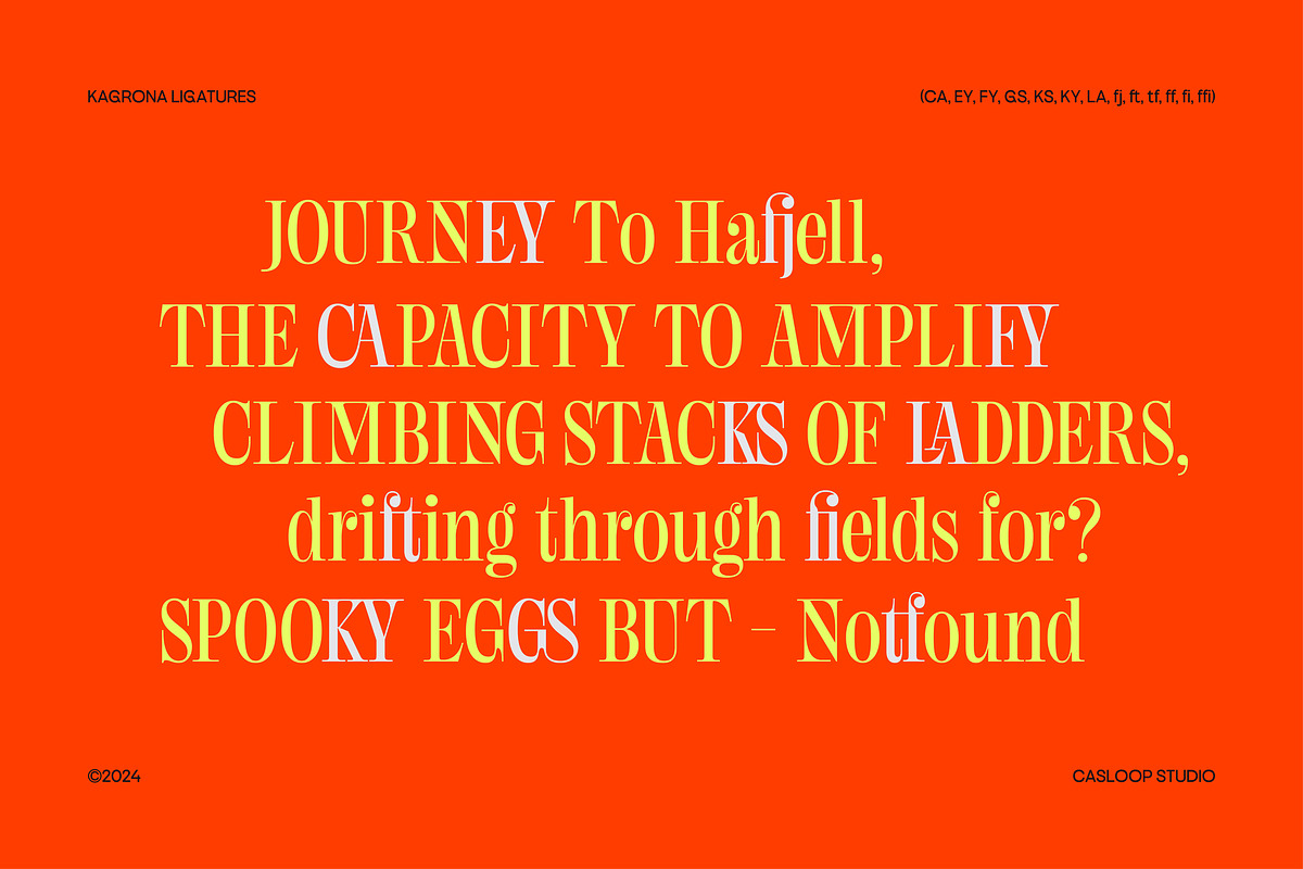 Kagrona - Y2K Experimental Serif, a Serif Font by Casloop Studio (Photo 4 of 9)