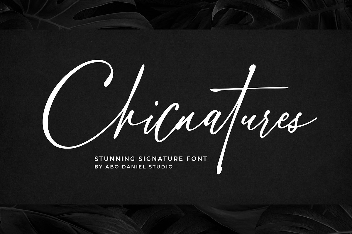 Chicnatures, a Script Font by Abo Daniel Studio (Photo 1 of 16)