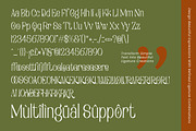 Rosetaen Luxury Serif, a Serif Font by operatype.co (Thumbnail 8 of 8)
