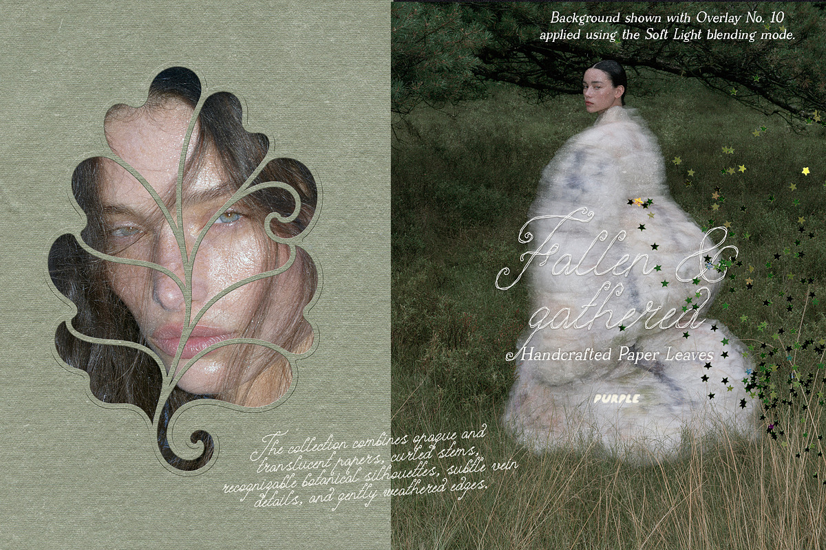 Fallen & Gathered Paper Collage, an Object Graphic by Purple (Photo 13 of 13)