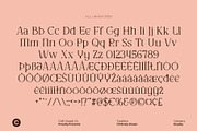 CS Brody Drawn, a Serif Font by Craft Supply Co. (Thumbnail 8 of 8)