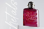Heritage Classic Modern Signature, a Script Font by Letterena Studios Script (Thumbnail 7 of 15)