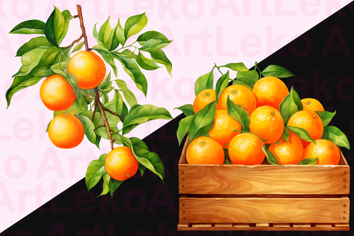Oranges Watercolor Clipart, a Food Illustration by LekoArt (Photo 6 of 10)