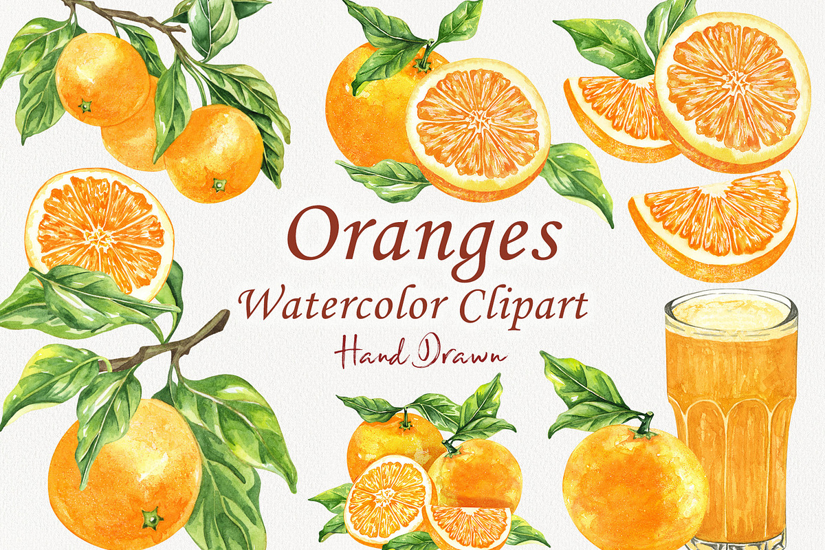 Oranges Watercolor Clipart, a Food Illustration by BarvArt (Photo 6 of 6)