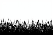 Wheat Field Border Bundle, an Illustration by Designs_River (Thumbnail 2 of 9)