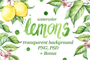 Watercolor Lemons Set, an Illustration by Imaginasty