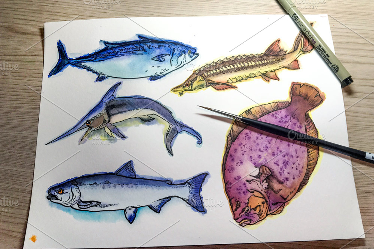 Watercolor Fish Clipart (big set), a Decorative Illustration by Sunshine Art Shop (Photo 11 of 13)
