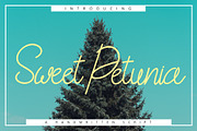 Sweet Petunia Handwirtten Script, a Script Font by Rustype (Thumbnail 1 of 7)