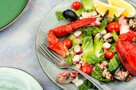 Seafood salad on a plate, a Food & Drink Photo by MLunov MLunov