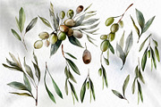 Watercolor Olives & Lemons, an Object Graphic by Knopazyzy (Thumbnail 4 of 6)