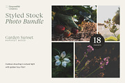 Garden Sunset | Photo Bundle, a Nature Photo by The Responsible Creatives (Thumbnail 1 of 11)