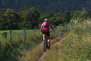 Woman cycling on a serene forest path, a Sports & Recreation Photo by Bepslabor
