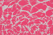 Distressed Textures Bundle, a Texture Graphic by Freezerondigital (Thumbnail 85 of 116)