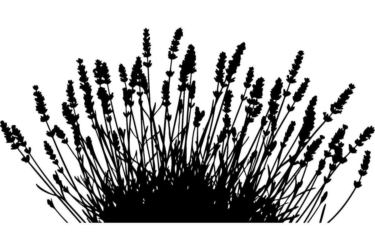 Lavender Flower Silhouette, an Object Graphic by Designer_Momina (Photo 8 of 20)