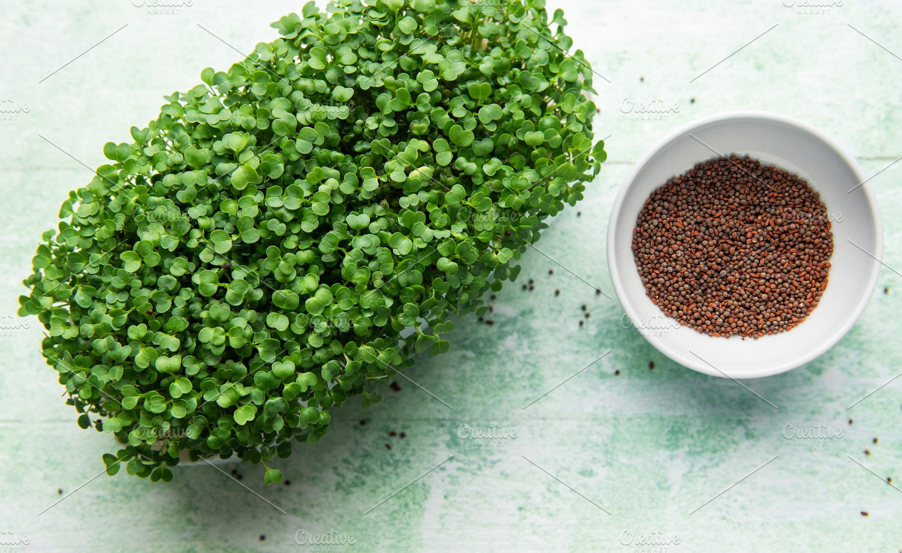 Fresh green microgreens growing next to a bowl of seeds, a Photo by Olena Rudo