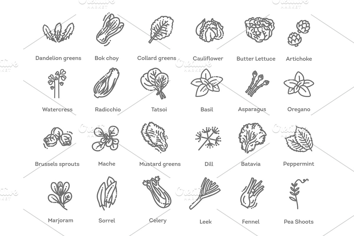 Green Salad Leaves. Vector icons, a Food Illustration by Tettygreen (Photo 3 of 3)
