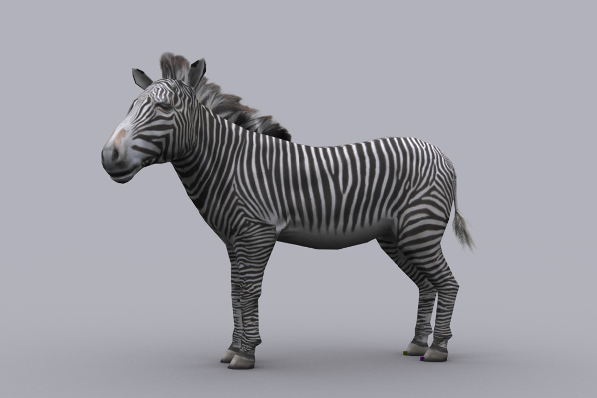 ZEBRA fbx only, an Animal 3D Model by PROTOFACTOR