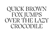 Silene - Elegant Serif Typeface, a Serif Font by Piotr Łapa (Thumbnail 5 of 12)