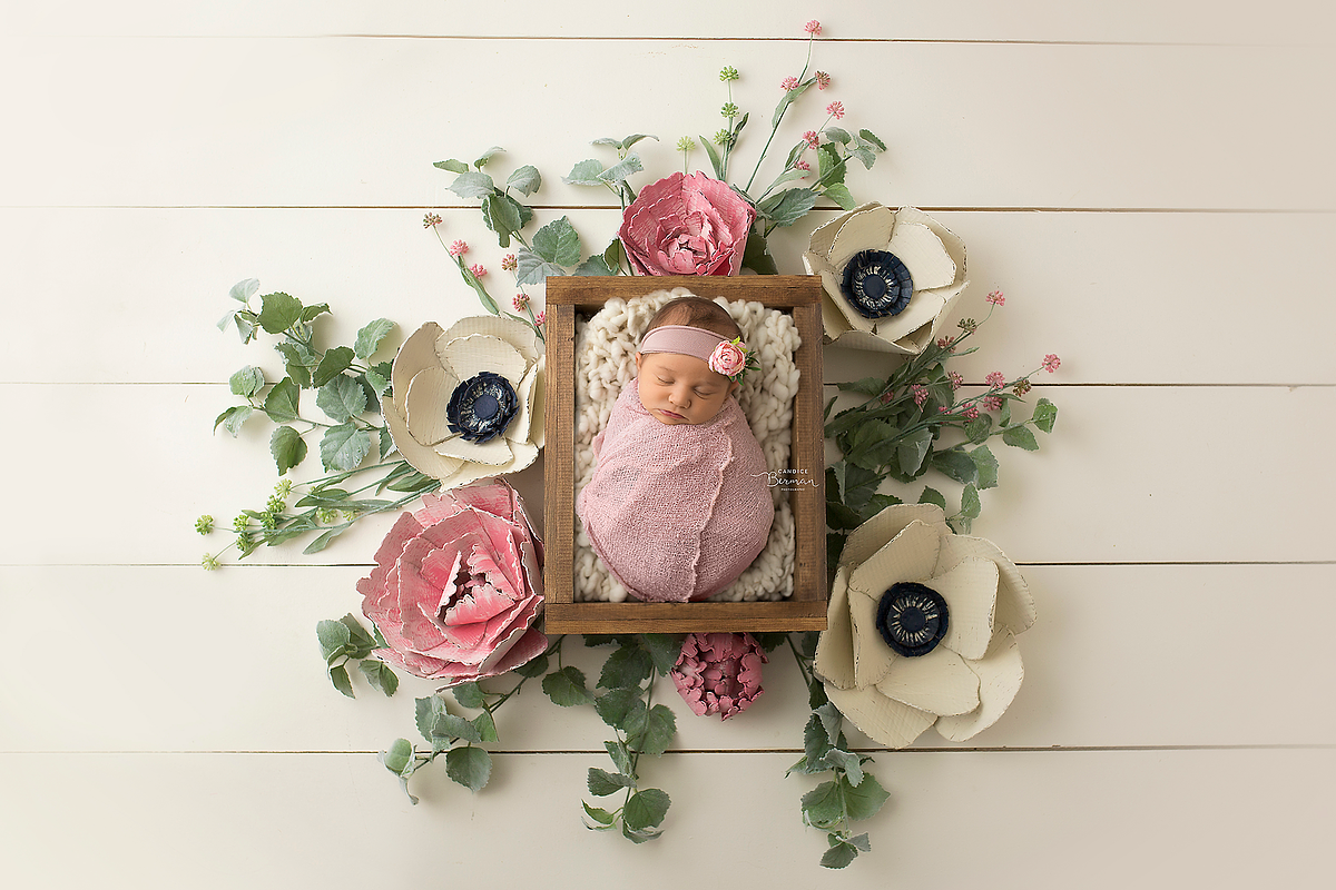 Newborn Digital Backdrop