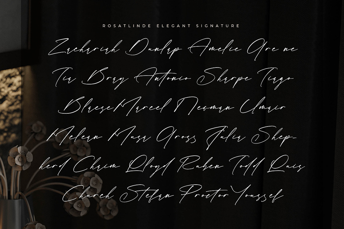 Rosatlinde Elegant Signature Script, a Script Font by Letterena Studios Script (Photo 7 of 15)
