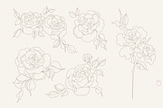 One Line Rose Flower Illustrations, a Decorative Illustration by Alina Kruss (Thumbnail 2 of 9)
