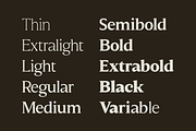 Molimer Family Serif Font, a Serif Font by Marvadesign (Thumbnail 3 of 11)