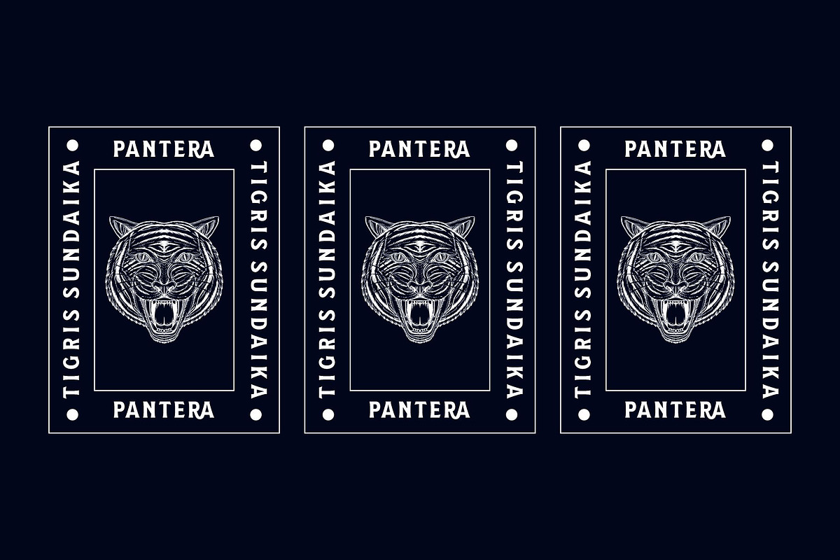 Avatera, a Serif Font by saskaratype (Photo 4 of 7)