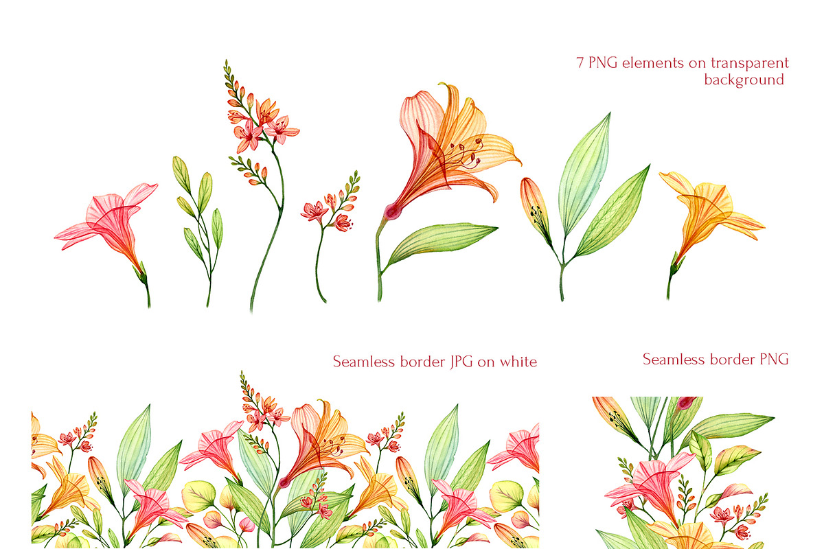 Watercolor Tropical Floral Set, a Decorative Illustration by Akvarelldesign (Photo 2 of 3)